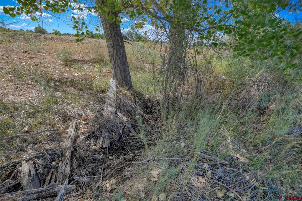 13806 State Highway 151 Property Photo 27