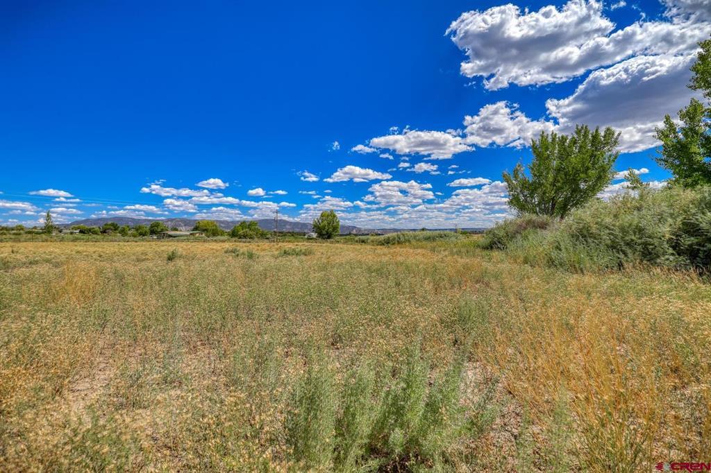 13806 State Highway 151 Property Photo 28