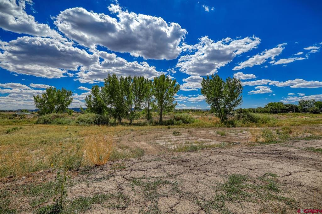 13806 State Highway 151 Property Photo 29