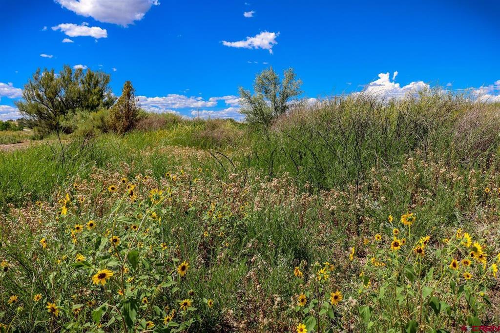13806 State Highway 151 Property Photo 31