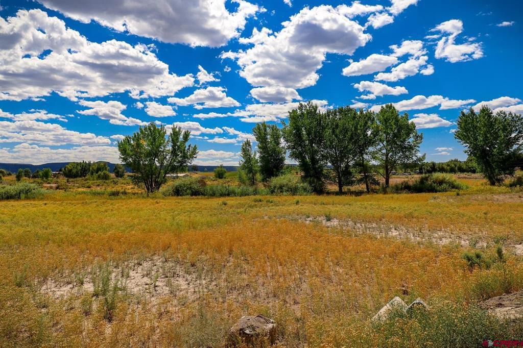13806 State Highway 151 Property Photo 32
