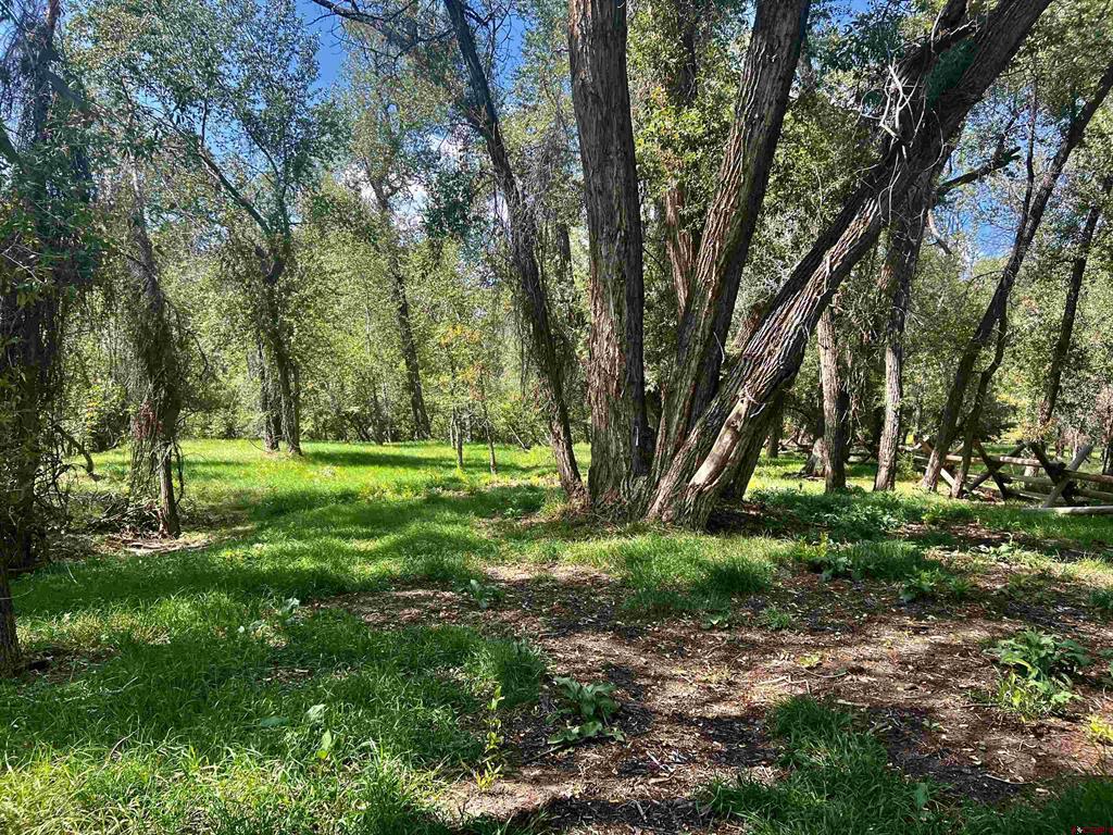 2777 County Road 225 Property Photo 5