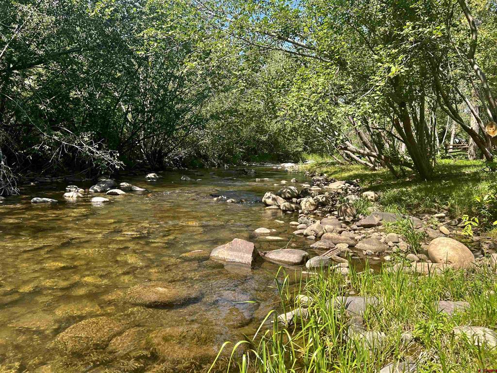 2777 County Road 225 Property Photo 6