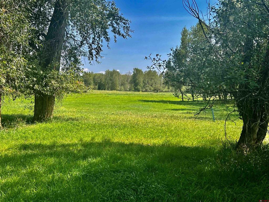 2777 County Road 225 Property Photo 8