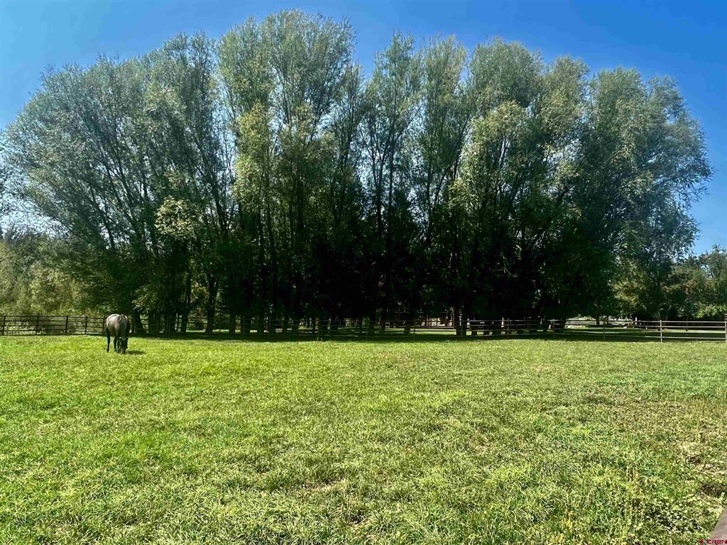 2777 County Road 225 Property Photo 18