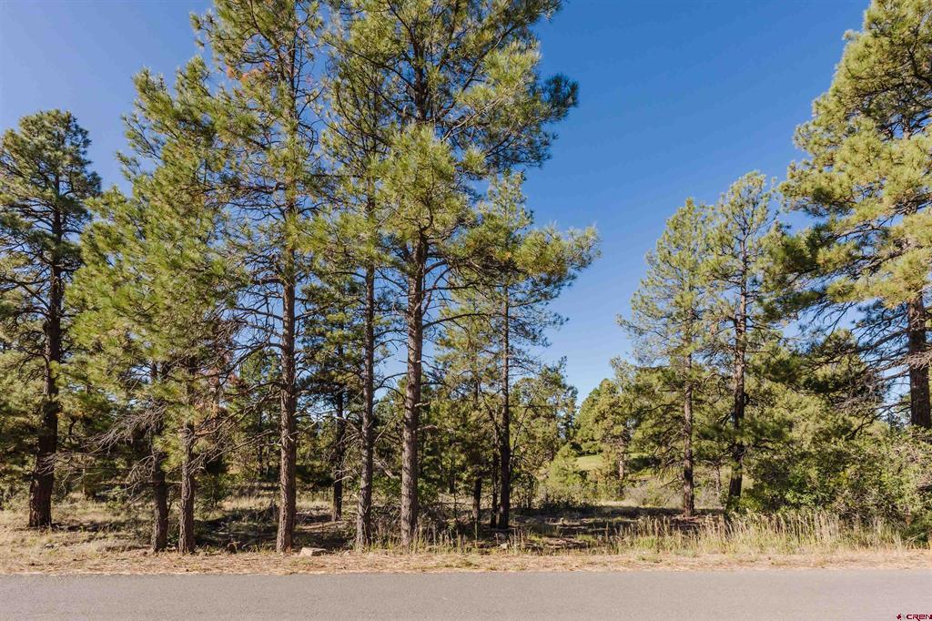 79 E Golf Place Property Photo 1
