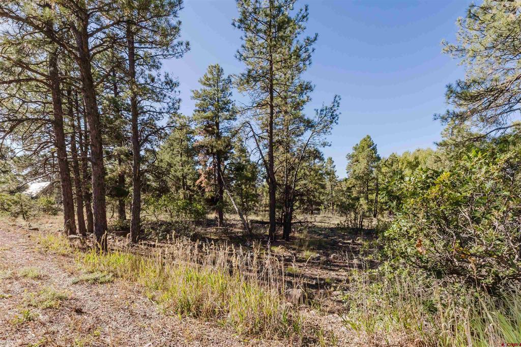 79 E Golf Place Property Photo 3