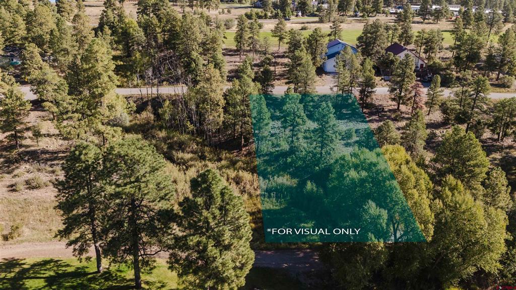 79 E Golf Place Property Photo 8