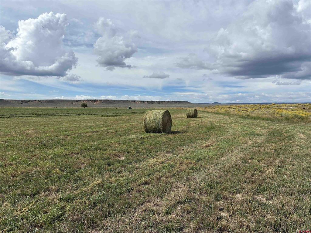 Tbd County Road 12.5 Property Photo 1