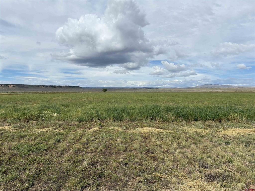 Tbd County Road 12.5 Property Photo 4