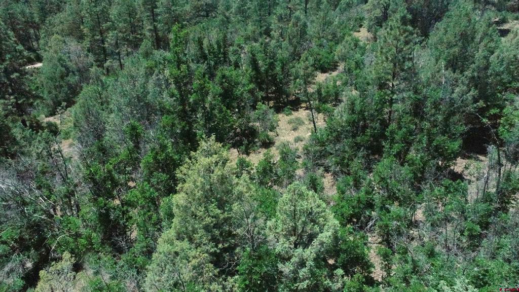 2868/2892 Crooked Road Property Photo 6