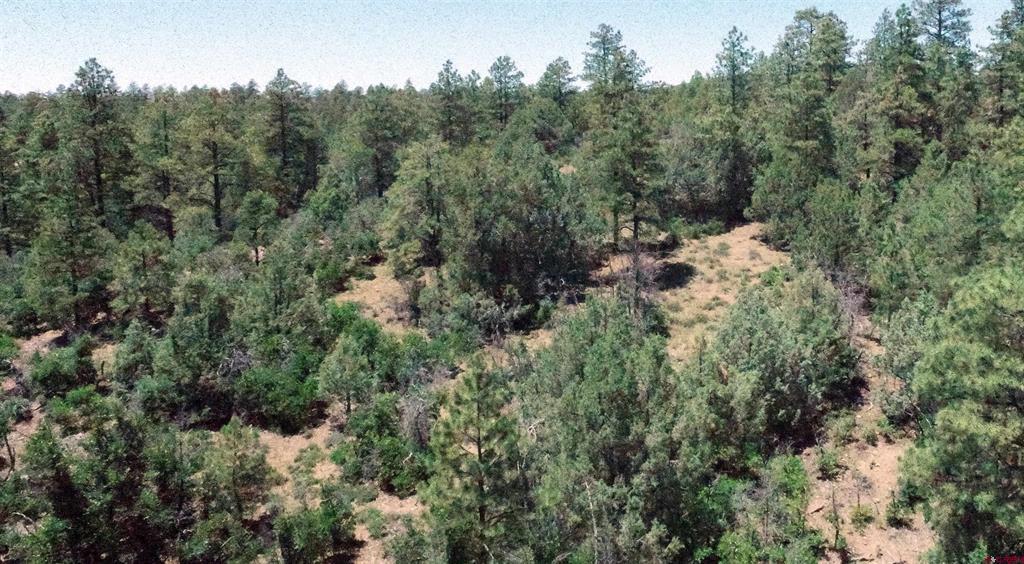 2868/2892 Crooked Road Property Photo 7