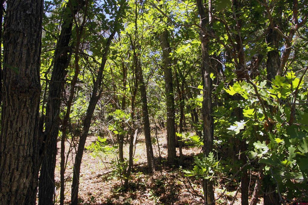 2868/2892 Crooked Road Property Photo 10
