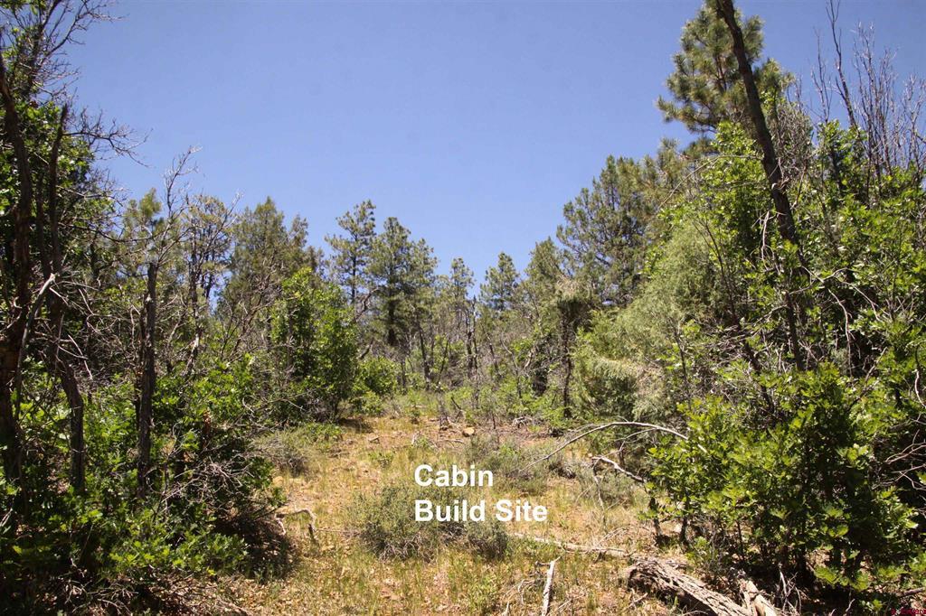 2868/2892 Crooked Road Property Photo 11