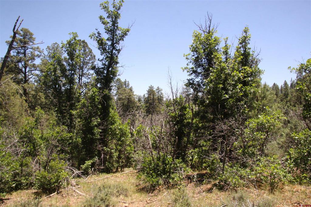 2868/2892 Crooked Road Property Photo 12