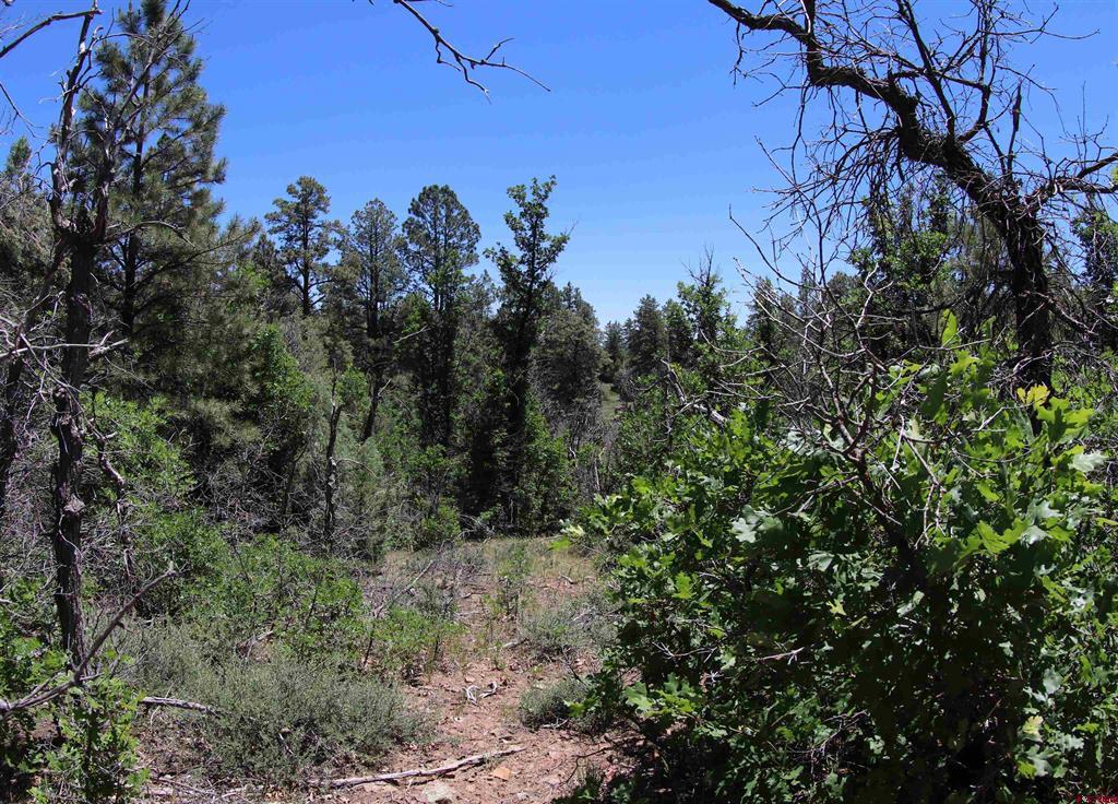 2868/2892 Crooked Road Property Photo 25
