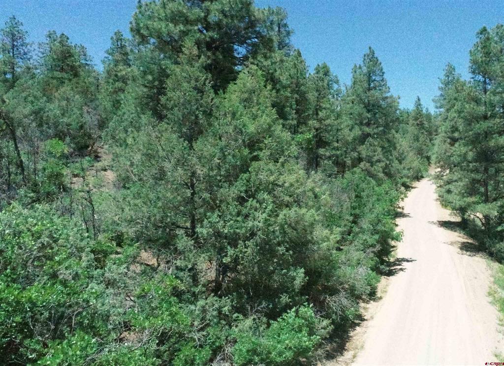 2868/2892 Crooked Road Property Photo 33