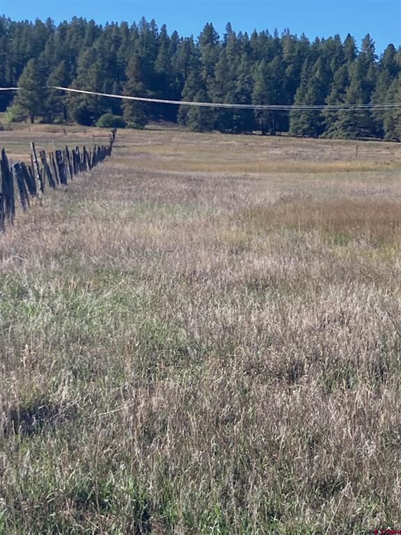 X Us Hwy 84 Property Photo 2