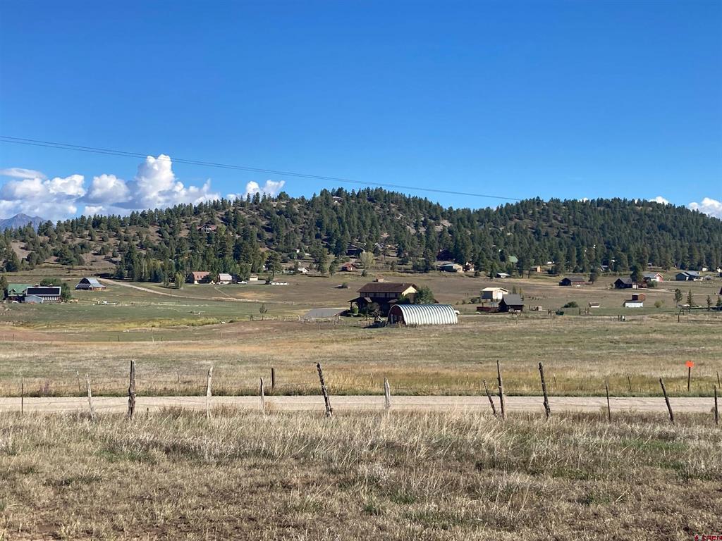 X Us Hwy 84 Property Photo 5