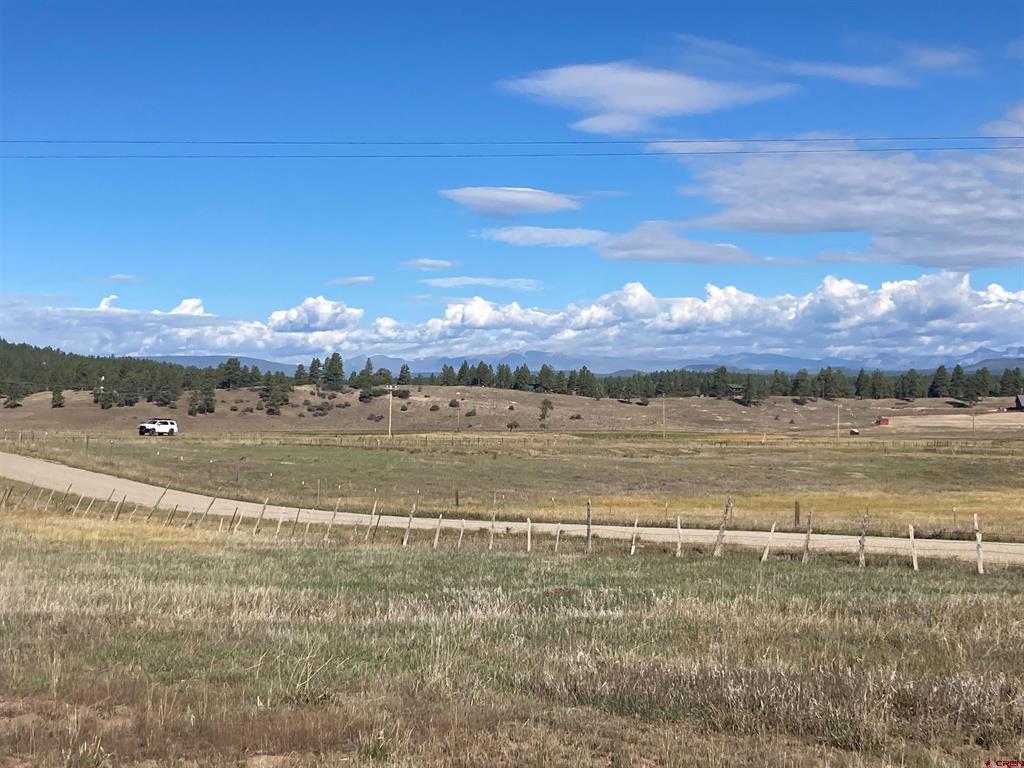 X Us Hwy 84 Property Photo 6