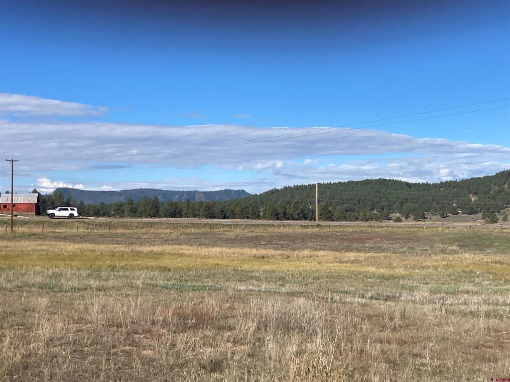 X Us Hwy 84 Property Photo 7