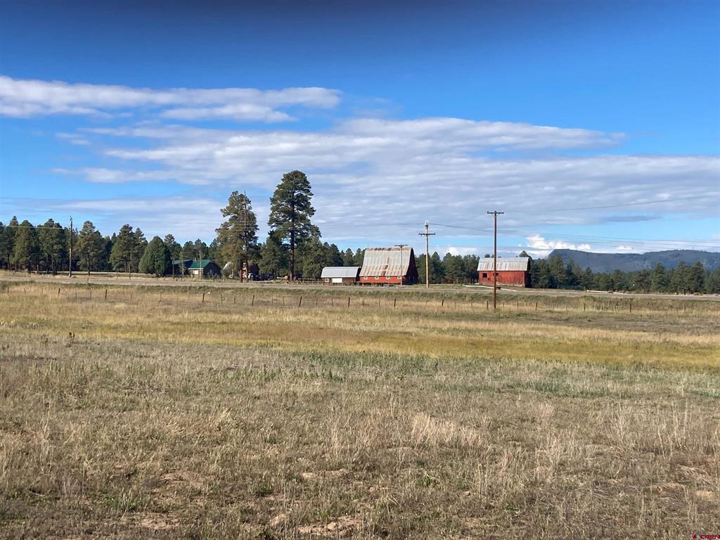 X Us Hwy 84 Property Photo 8