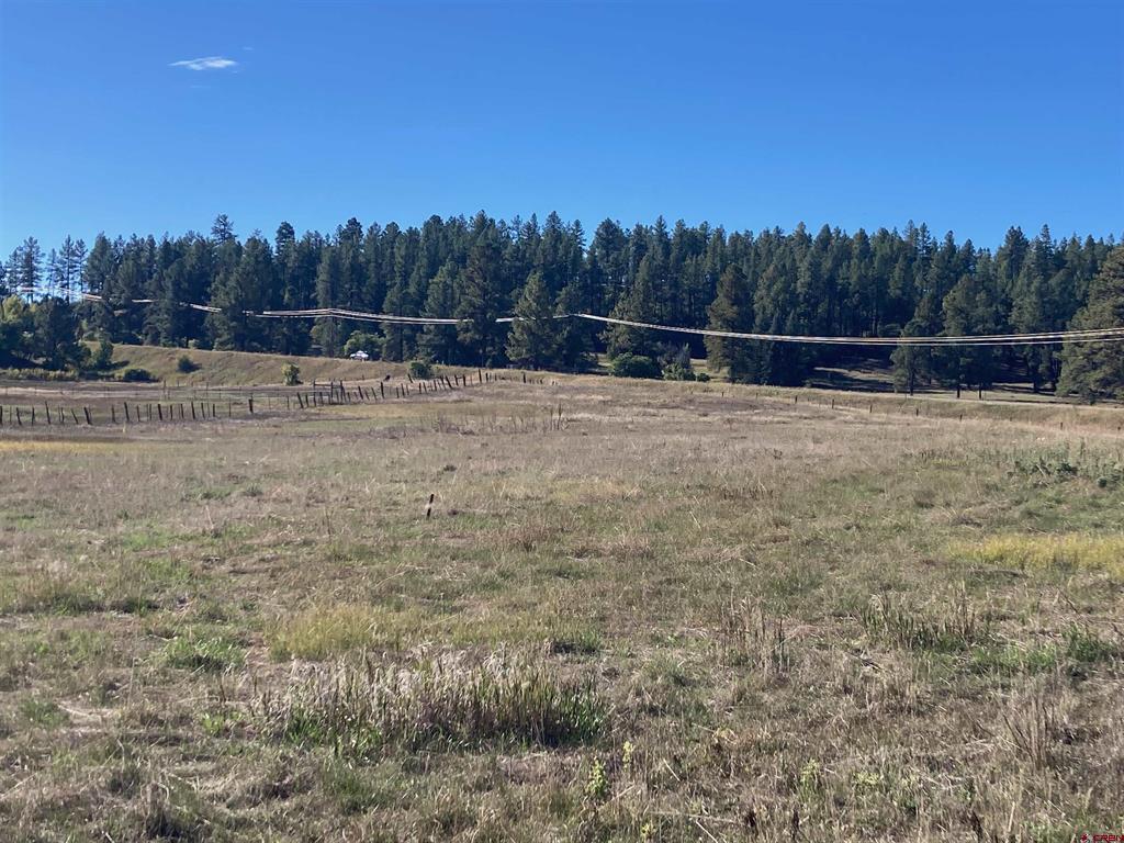 X Us Hwy 84 Property Photo 9