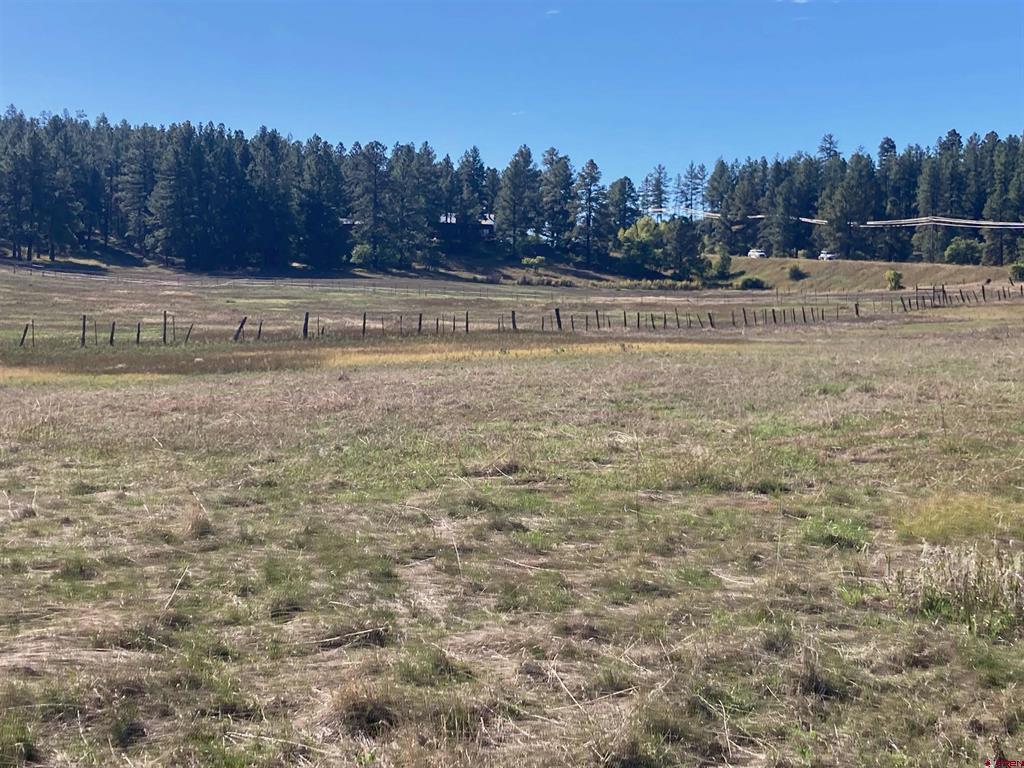 X Us Hwy 84 Property Photo 10