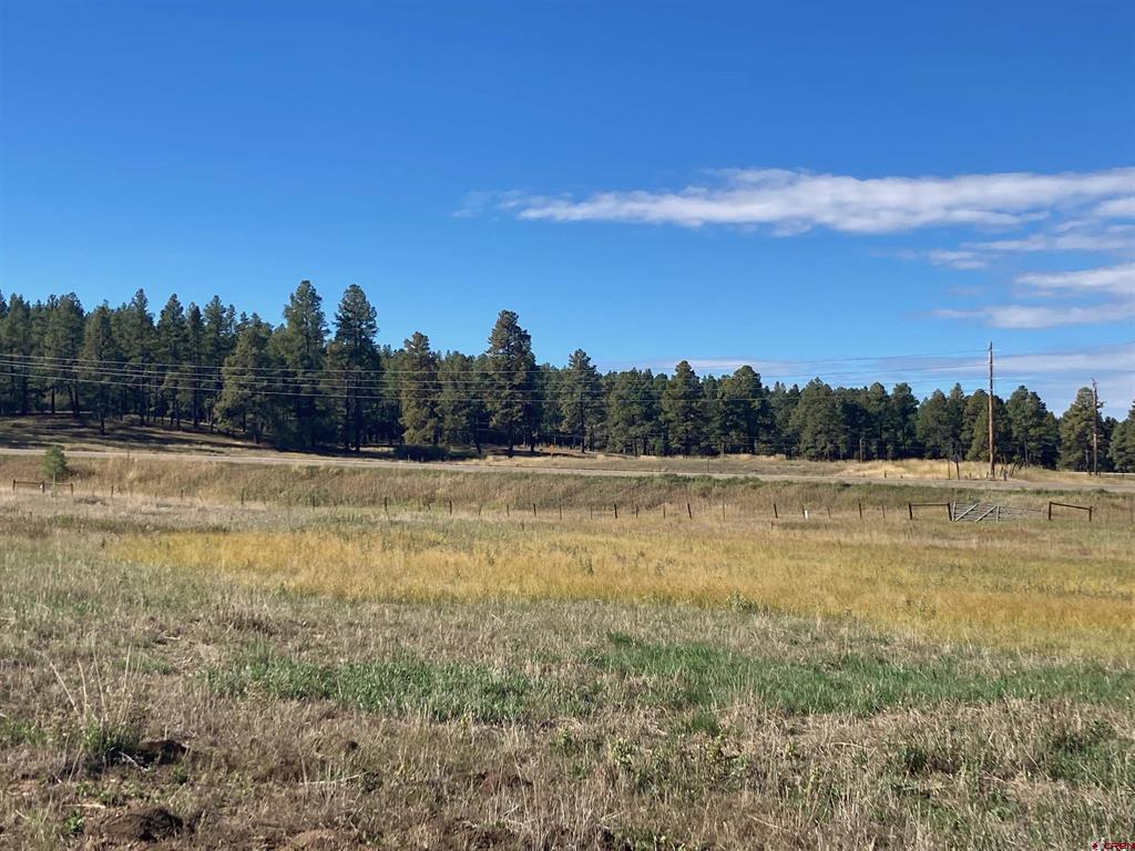 X Us Hwy 84 Property Photo 11