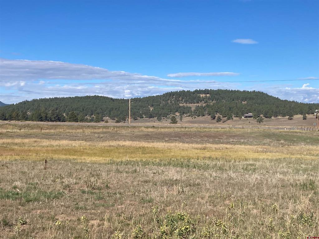 X Us Hwy 84 Property Photo 12
