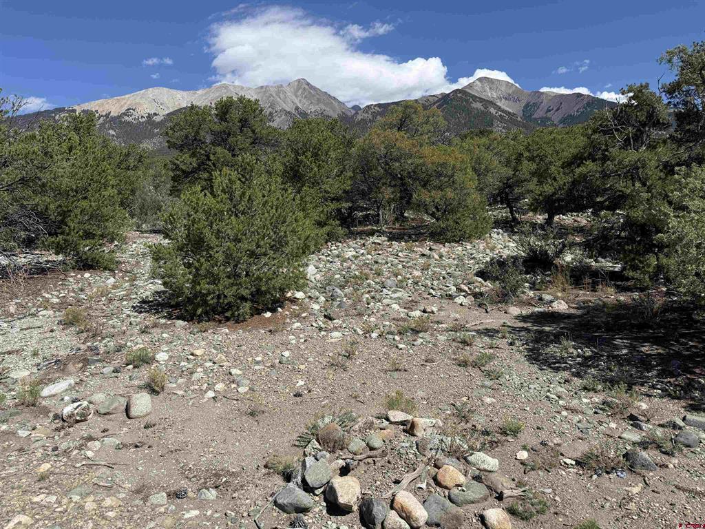 Tbd Oak Avenue Property Photo 1