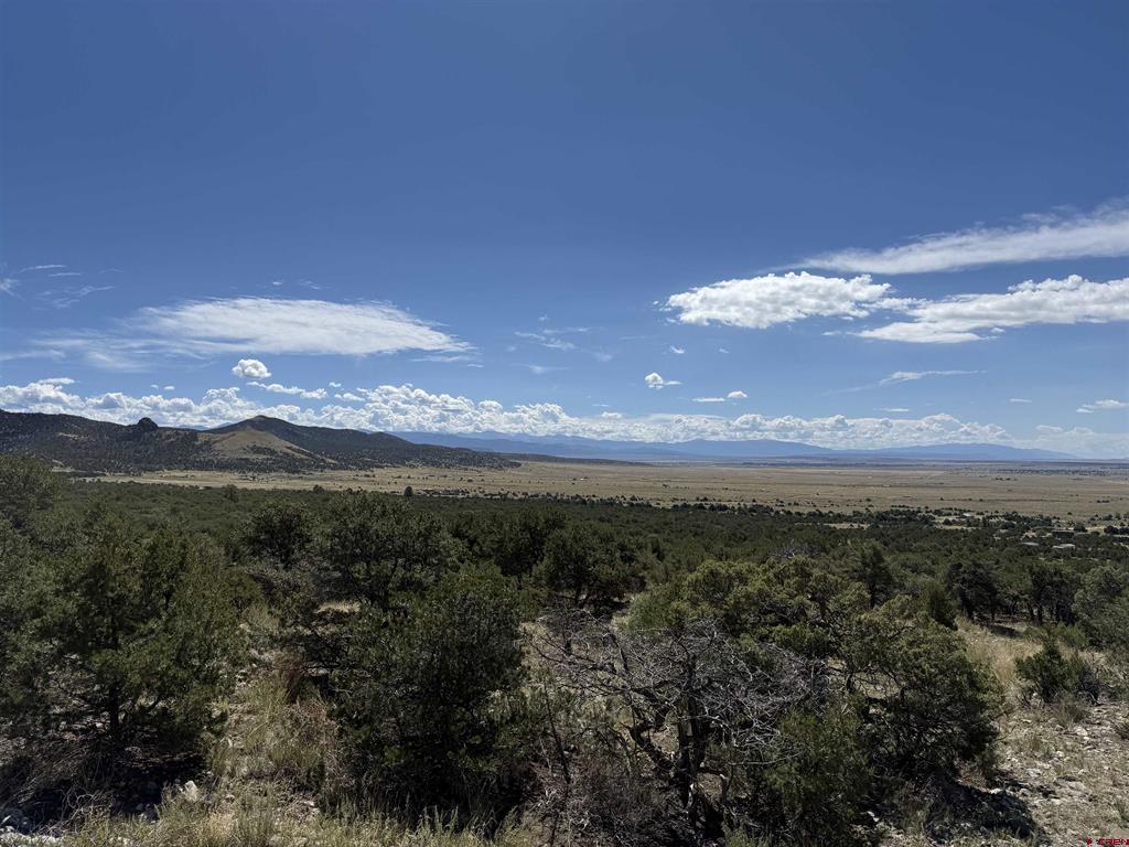 Tbd Oak Avenue Property Photo 3
