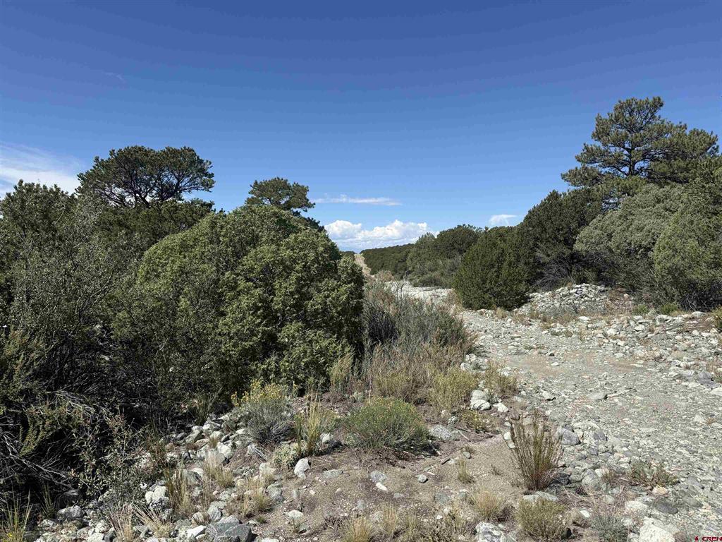 Tbd Oak Avenue Property Photo 4