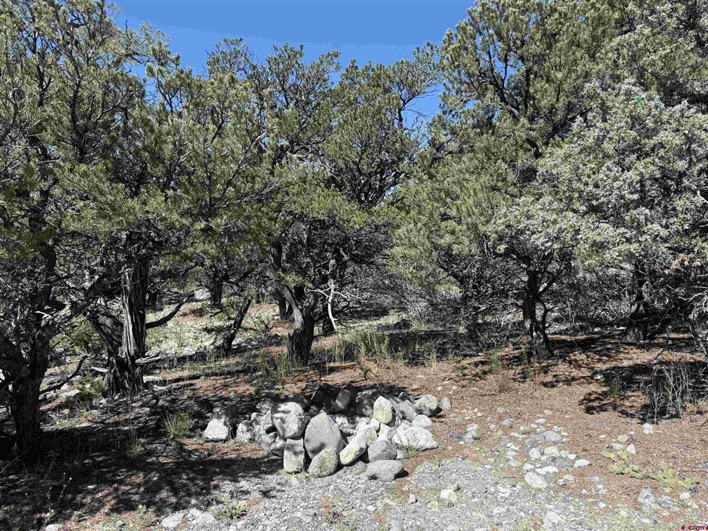 Tbd Oak Avenue Property Photo 7