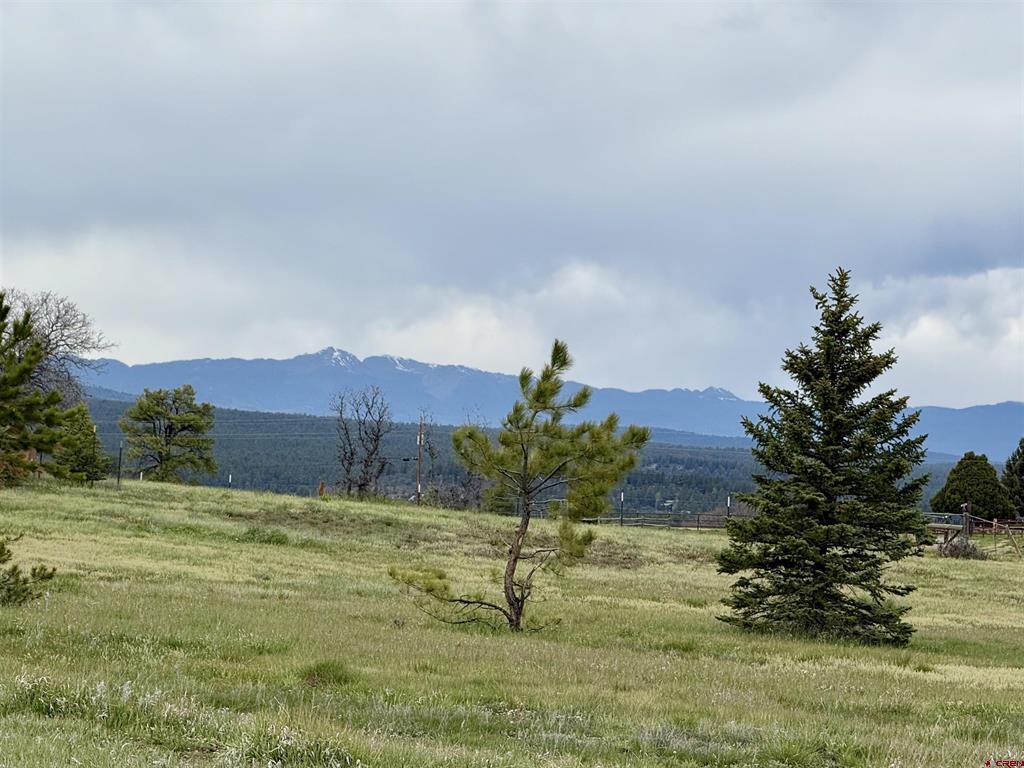 49 Marmot Court Property Photo 4