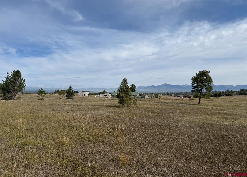 49 Marmot Court Property Photo 9