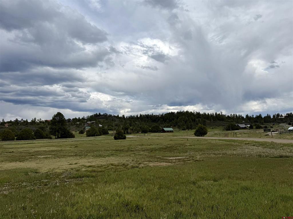 49 Marmot Court Property Photo 13