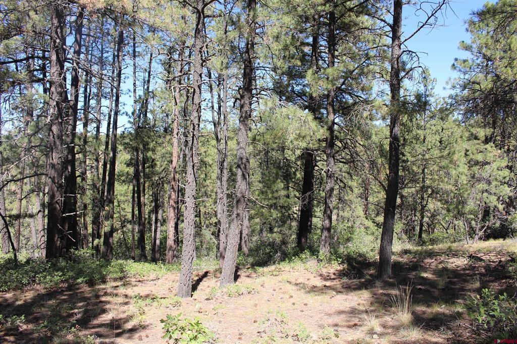 1286 Crooked Road Property Photo 1