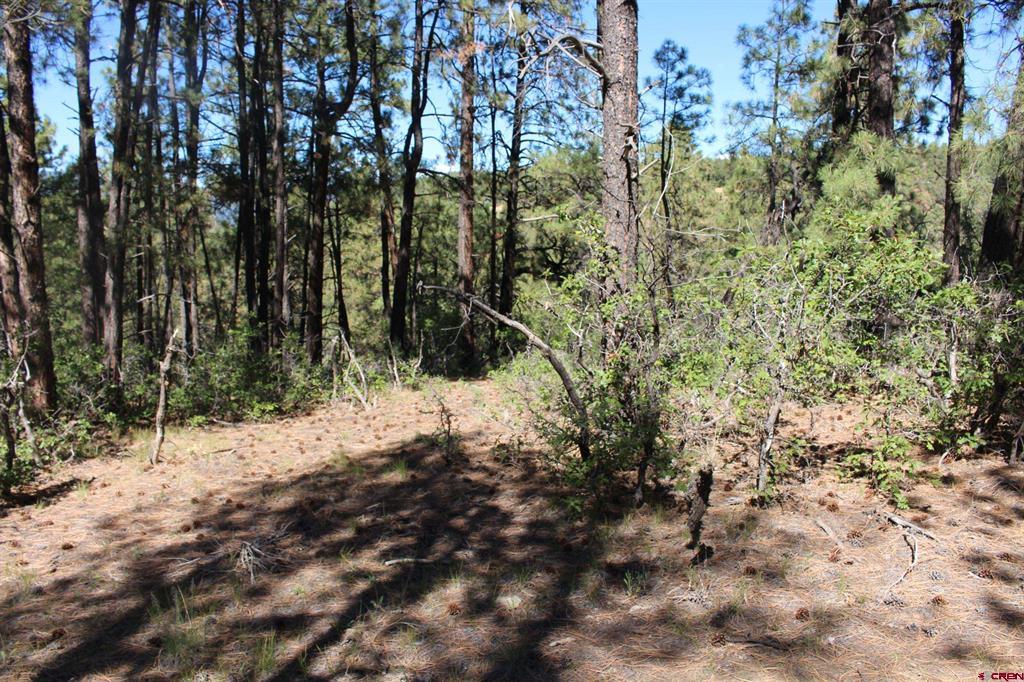 1260 Crooked Road Property Photo 1