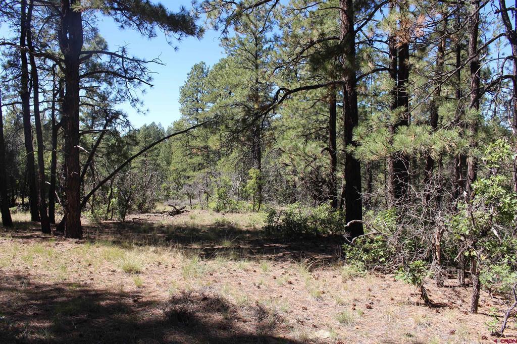 1260 Crooked Road Property Photo 2