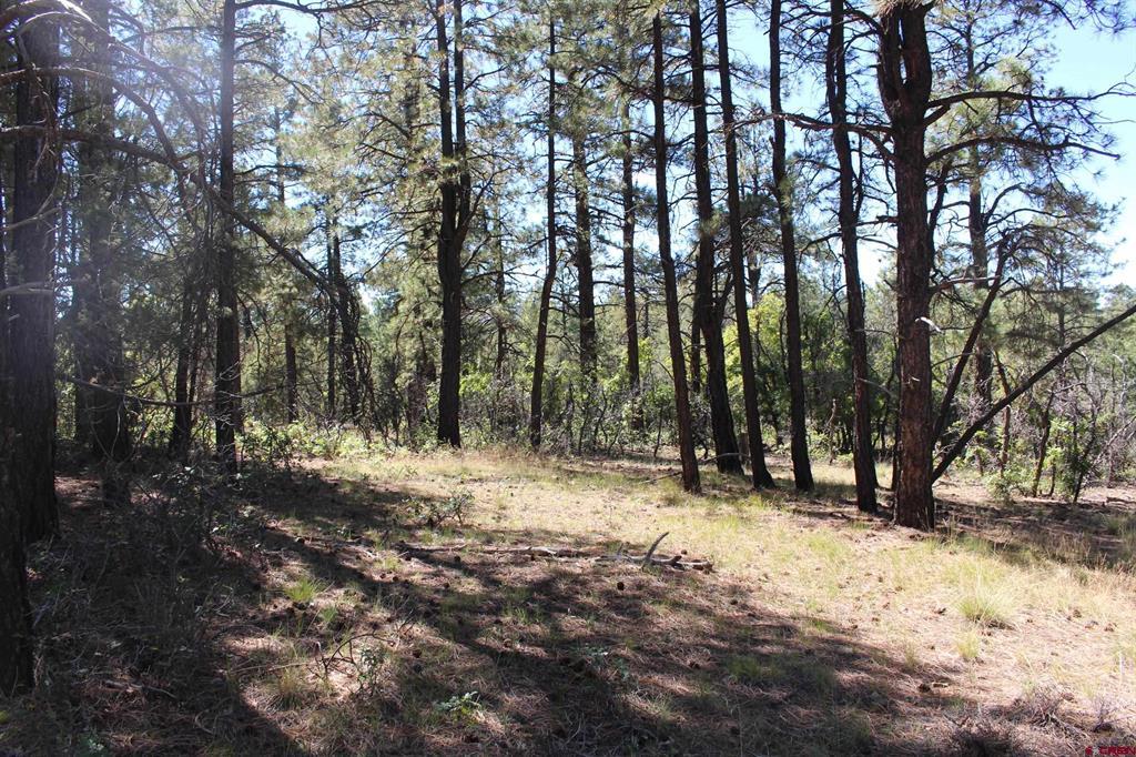 1260 Crooked Road Property Photo 3