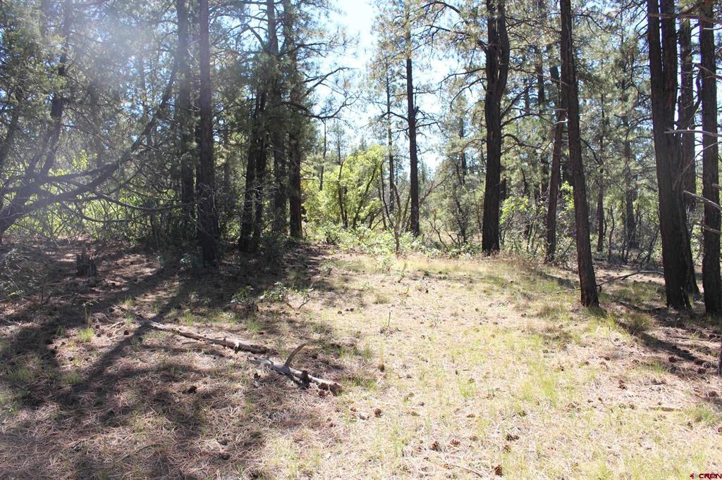 1260 Crooked Road Property Photo 4