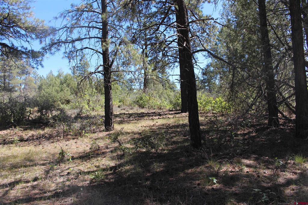 1260 Crooked Road Property Photo 5