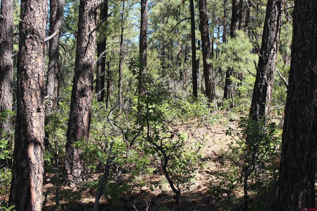 1260 Crooked Road Property Photo 8