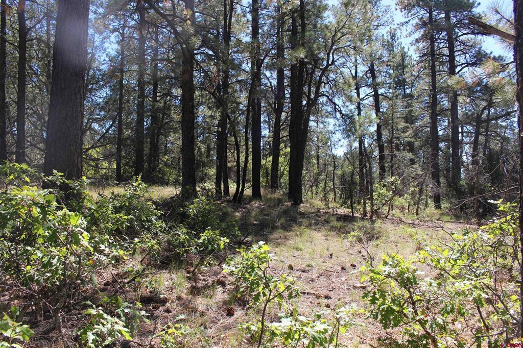 1260 Crooked Road Property Photo 11