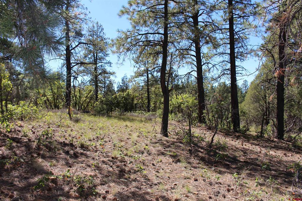 1260 Crooked Road Property Photo 12