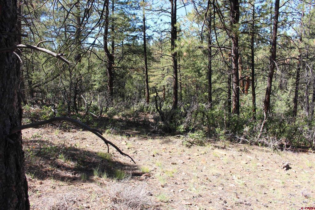 1260 Crooked Road Property Photo 13