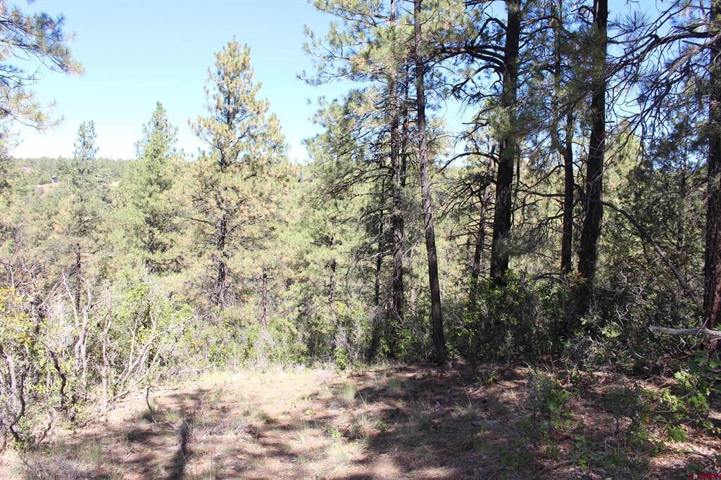 1260 Crooked Road Property Photo 14