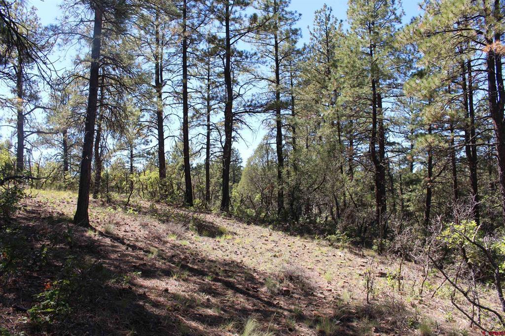 1260 Crooked Road Property Photo 15