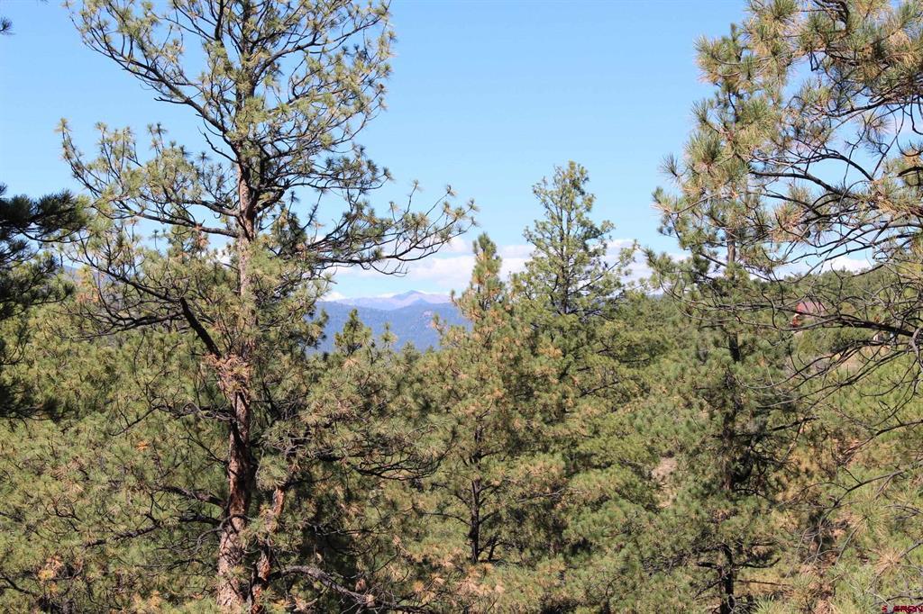 1260 Crooked Road Property Photo 17